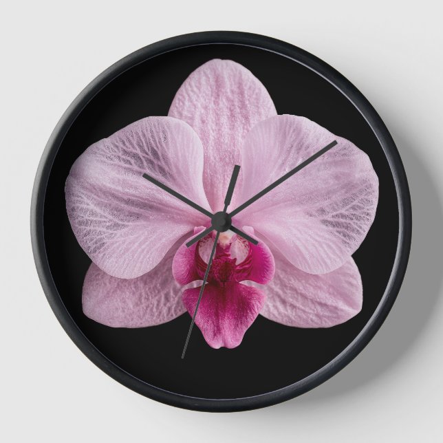 Reloj Orquídea sobre fondo negro (Anverso)