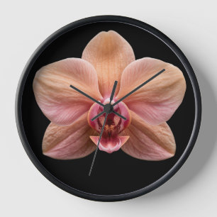 Reloj Orquídea sobre fondo negro