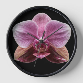 Reloj Orquídea sobre fondo negro
