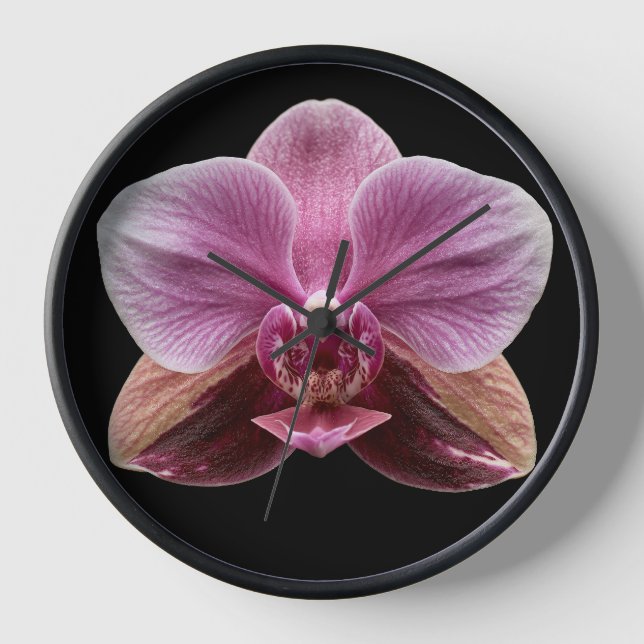 Reloj Orquídea sobre fondo negro (Anverso)