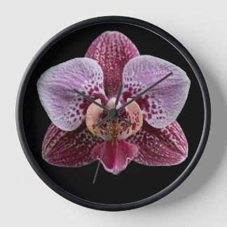 Reloj Orquídea sobre fondo negro