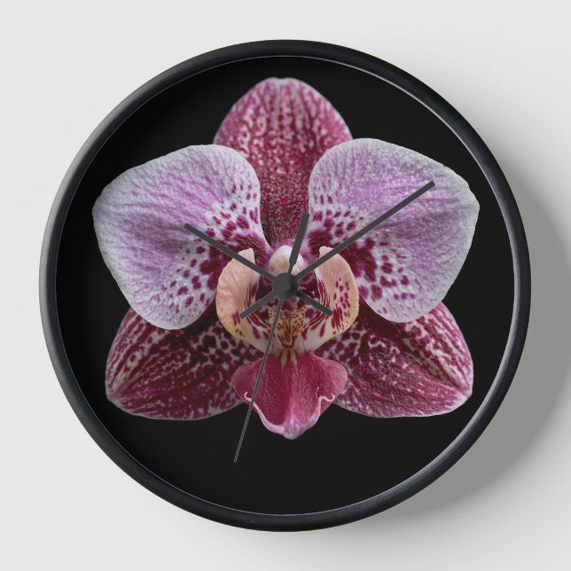 Reloj Orquídea sobre fondo negro (Anverso)