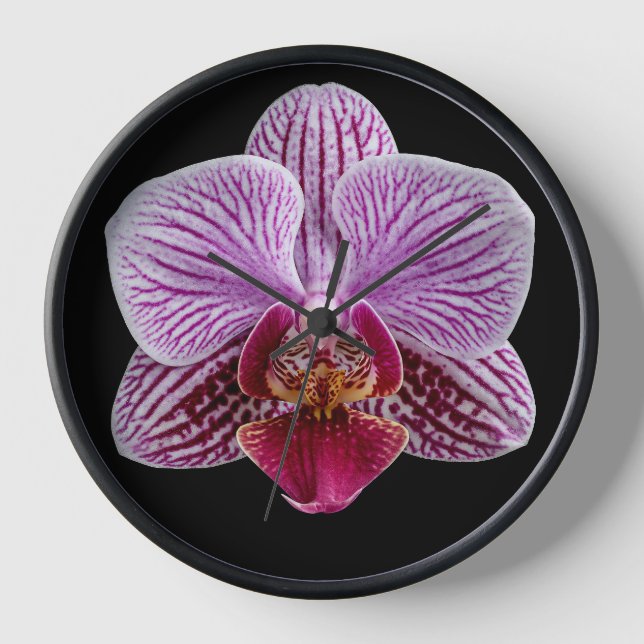 Reloj Orquídea sobre fondo negro (Anverso)