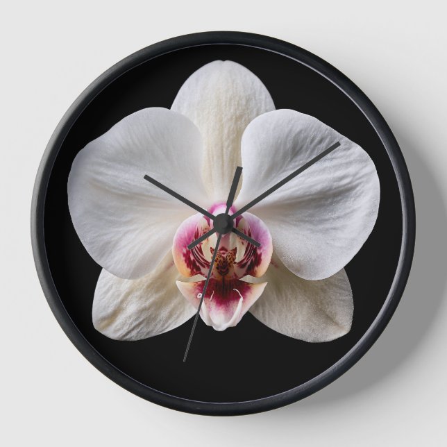 Reloj Orquídea sobre fondo negro (Anverso)