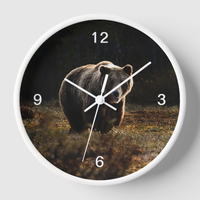 Reloj Oso (Anverso)