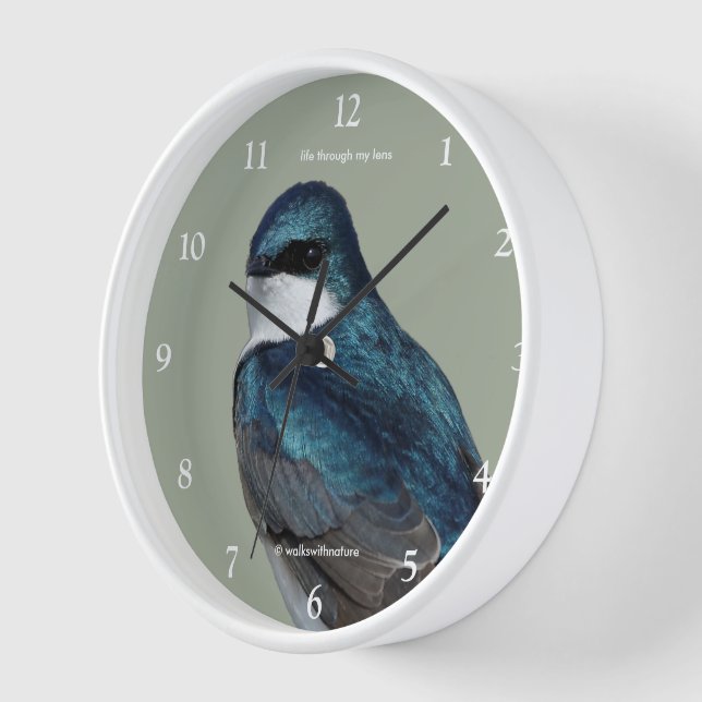 Reloj Pájaro Tragado de Árbol guapo en un cable (Ángulo)