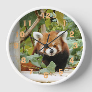 Reloj Panda rojo