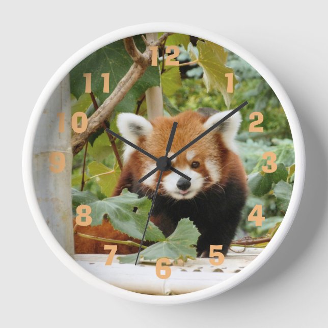 Reloj Panda rojo (Anverso)