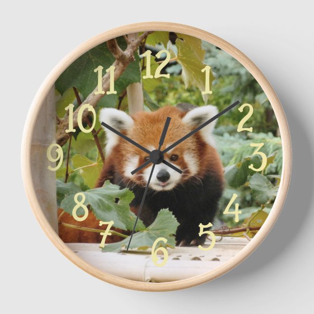 Reloj Panda rojo (Anverso)