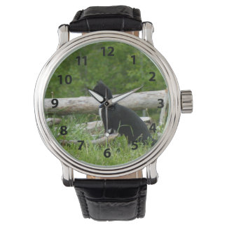 Reloj para gatos en blanco y negro