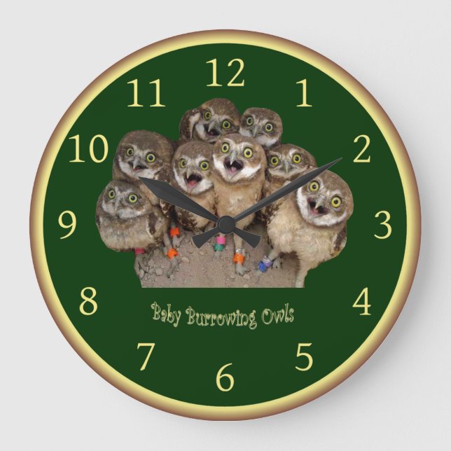 Reloj para niños ~ Lechuzas para criar bebés ~ (Anverso)