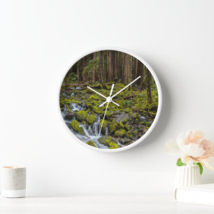 Reloj Parque Nacional Olímpico, Estado de Washington