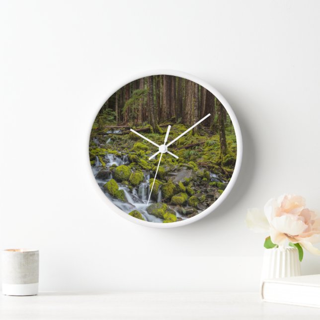Reloj Parque Nacional Olímpico, Estado de Washington (Hogar)