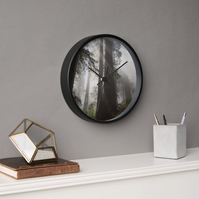 Reloj Parque nacional Redwood California (Oficina)