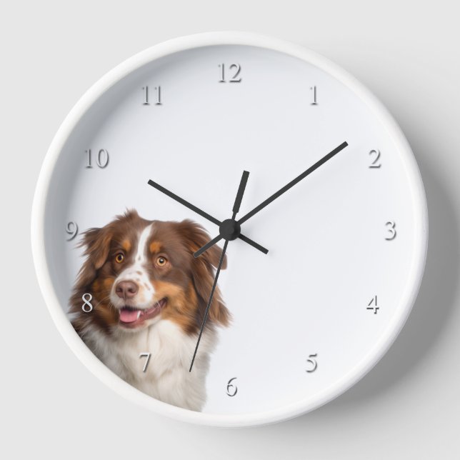 Reloj Pastor Rojo Australiano (Anverso)