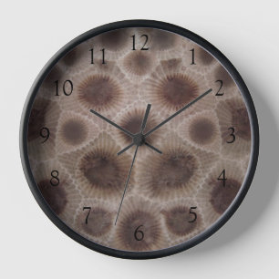 Reloj patrón de piedra Petosky michigan grandes lagos