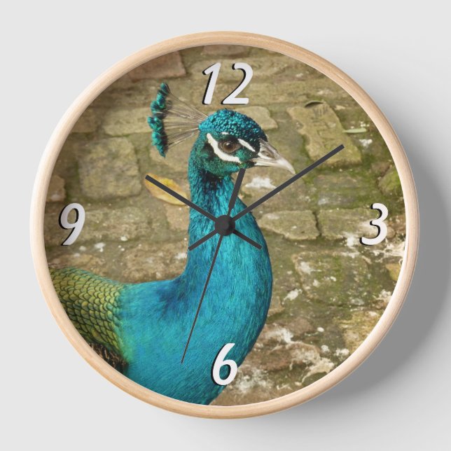 Reloj Peacock Hermoso Blue Bird Natural Photography (Anverso)