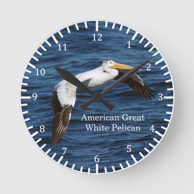 Reloj Pelíctico Gran Blanco Americano (Anverso)