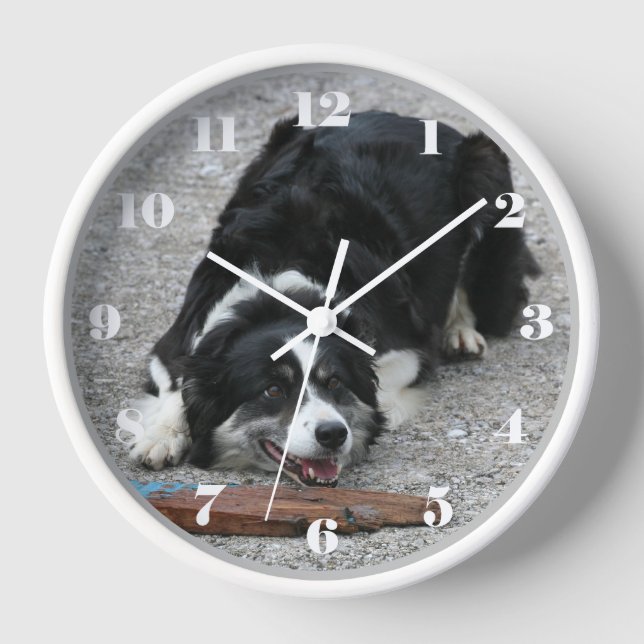 Reloj Perro de oveja collie de borde juguetón (Anverso)