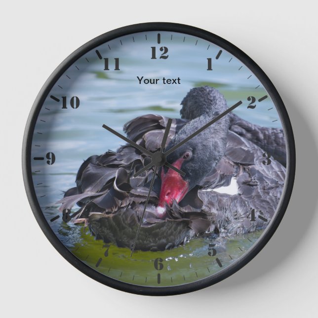 Reloj Personalizar el reposo del ave de cisne negro (Anverso)