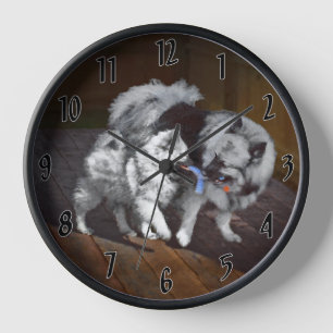 Reloj Pintado Keeshond Playtime - Arte Perro Original.
