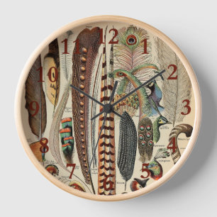 Reloj Plumas de aves silvestres antigüedades