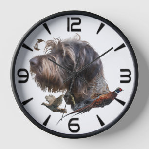 Reloj Pointer alemán de pelo duro