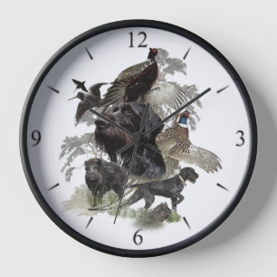 Reloj Pointer alemán de pelo duro  
