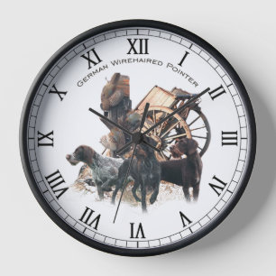 Reloj Pointer alemán de pelo duro