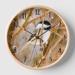 Reloj Pollito de punta negra - Fotografía original