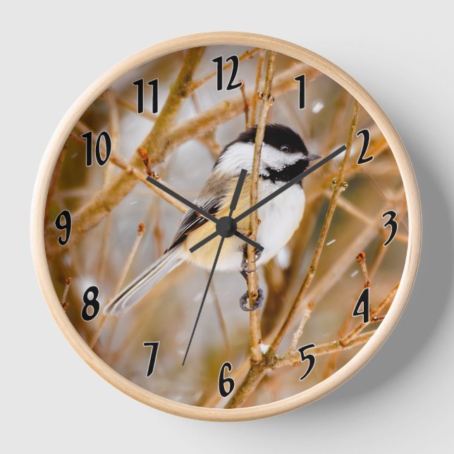 Reloj Pollito de punta negra - Fotografía original (Anverso)