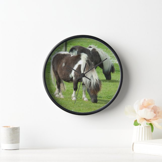 Reloj Poneys de pintura Shetland de raza pura (Hogar)