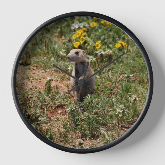 Reloj Prairie Dog (Anverso)