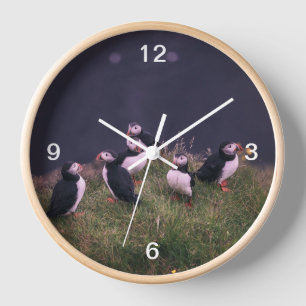 Reloj Puffins atlánticos