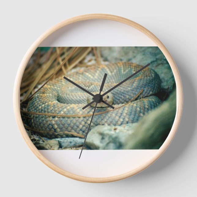 Reloj Rattlesnake (Anverso)