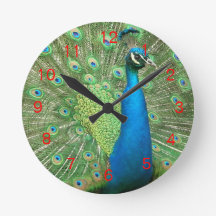 Reloj Red2 del puntal del pavo real
