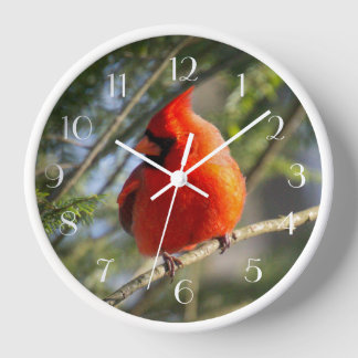 Reloj Red Cardinal Pines