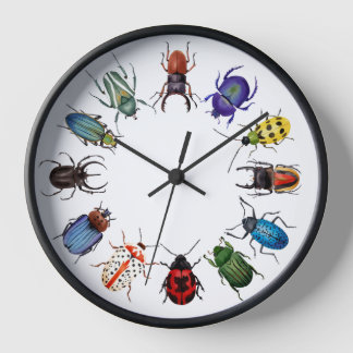 Reloj redondeado de escarabajos