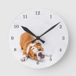 Reloj redondo de cachorro de la caja de rescate