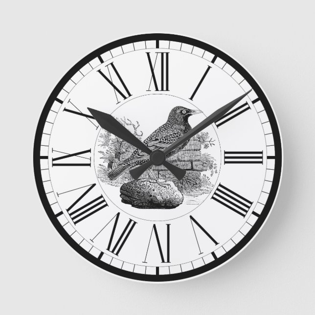 Reloj redondo de Ilustracion de aves británico (Anverso)