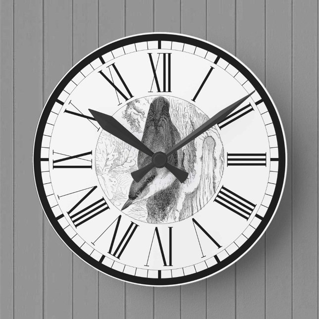 Reloj redondo de Ilustracion de aves británico Nut (Subido por el creador)