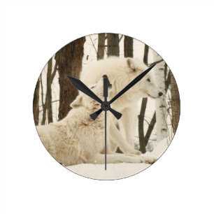 Reloj redondo de los lobos del Ártico