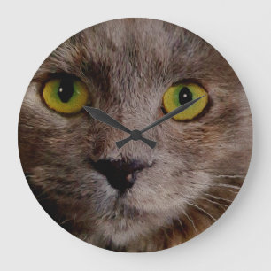 Reloj Redondo Grande Aceite Pintado Gatito Con Grandes Ojos Verdes,