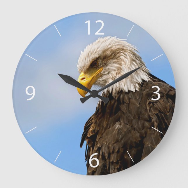Reloj Redondo Grande Águila Calva Ave de Presa (Anverso)