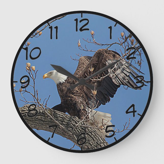 Reloj Redondo Grande Águila calva en una rama de árbol (Anverso)