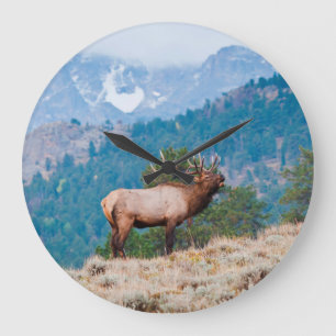 Reloj Redondo Grande Alces (Cervus Elephus) Bull Bugling