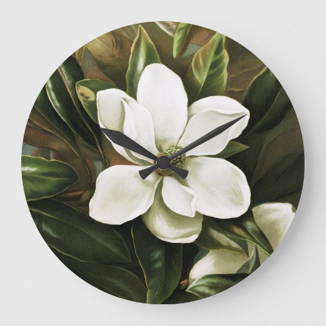 Reloj Redondo Grande Alicia H. Laird: Magnolia Grandflora (Anverso)