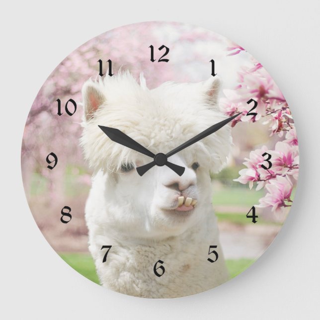 Reloj Redondo Grande Alpaca blanca (Anverso)