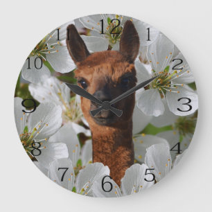 Reloj Redondo Grande Alpaca joven marrón con flores,