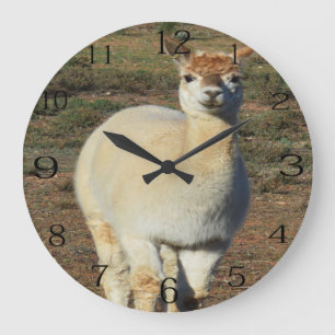 Reloj Redondo Grande Alpaca Wooly Blanca Sonriente,